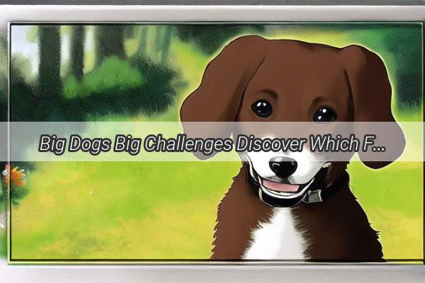 Big Dogs Big Challenges Discover Which Familys Furry Giant Is the Easiest to Tame